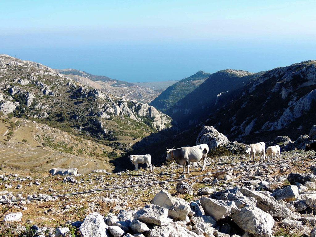 Monte SantʼAngelo B&B Angela المظهر الخارجي الصورة